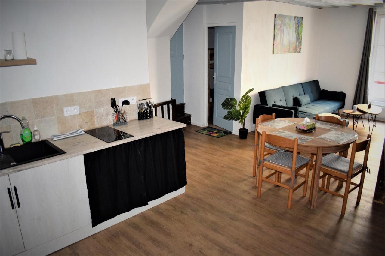 Gite Le Nid Des Zoo Zio, 5Mn Beauval, Appartement Terrasse Centre-Ville Saint-Aignan  Dış mekan fotoğraf