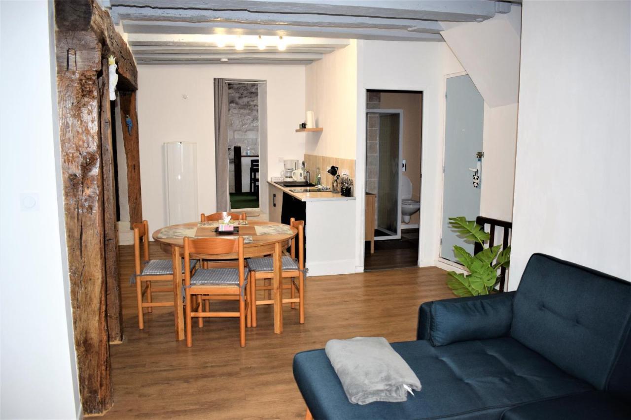 Gite Le Nid Des Zoo Zio, 5Mn Beauval, Appartement Terrasse Centre-Ville Saint-Aignan  Dış mekan fotoğraf