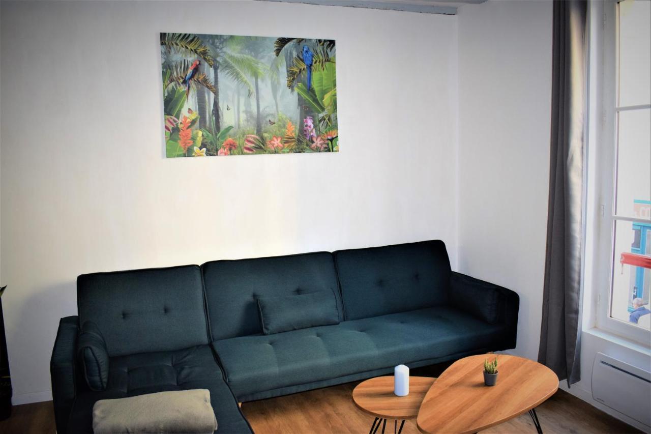 Gite Le Nid Des Zoo Zio, 5Mn Beauval, Appartement Terrasse Centre-Ville Saint-Aignan  Dış mekan fotoğraf