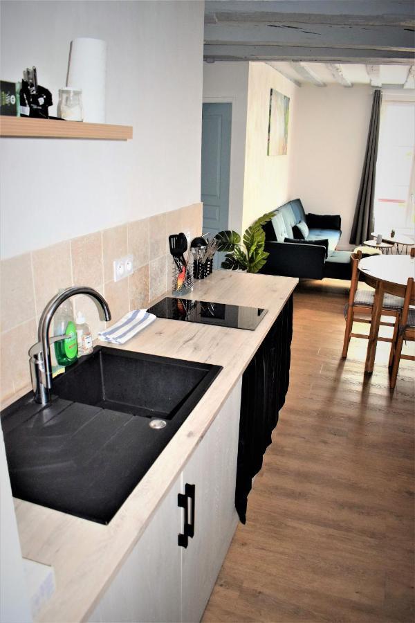 Gite Le Nid Des Zoo Zio, 5Mn Beauval, Appartement Terrasse Centre-Ville Saint-Aignan  Dış mekan fotoğraf