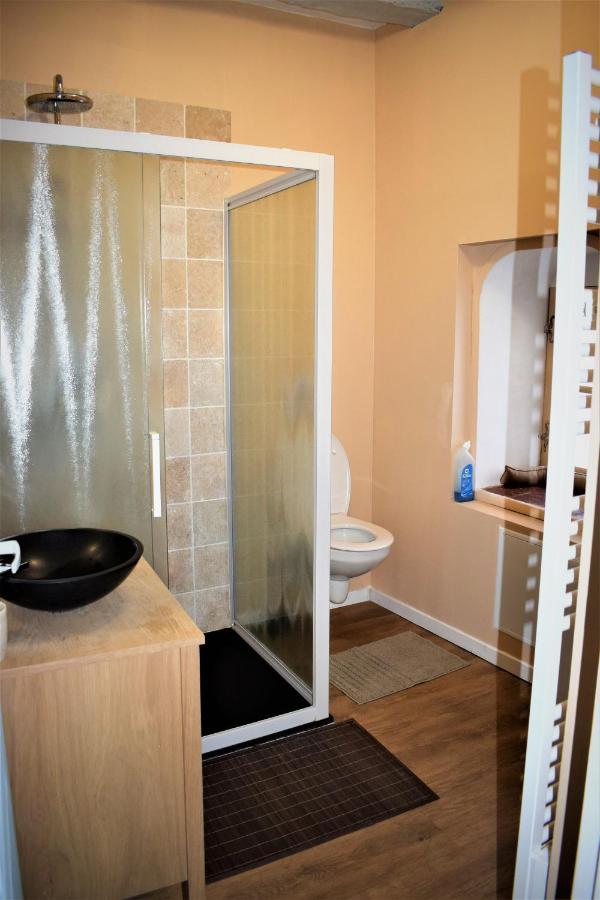 Gite Le Nid Des Zoo Zio, 5Mn Beauval, Appartement Terrasse Centre-Ville Saint-Aignan  Dış mekan fotoğraf
