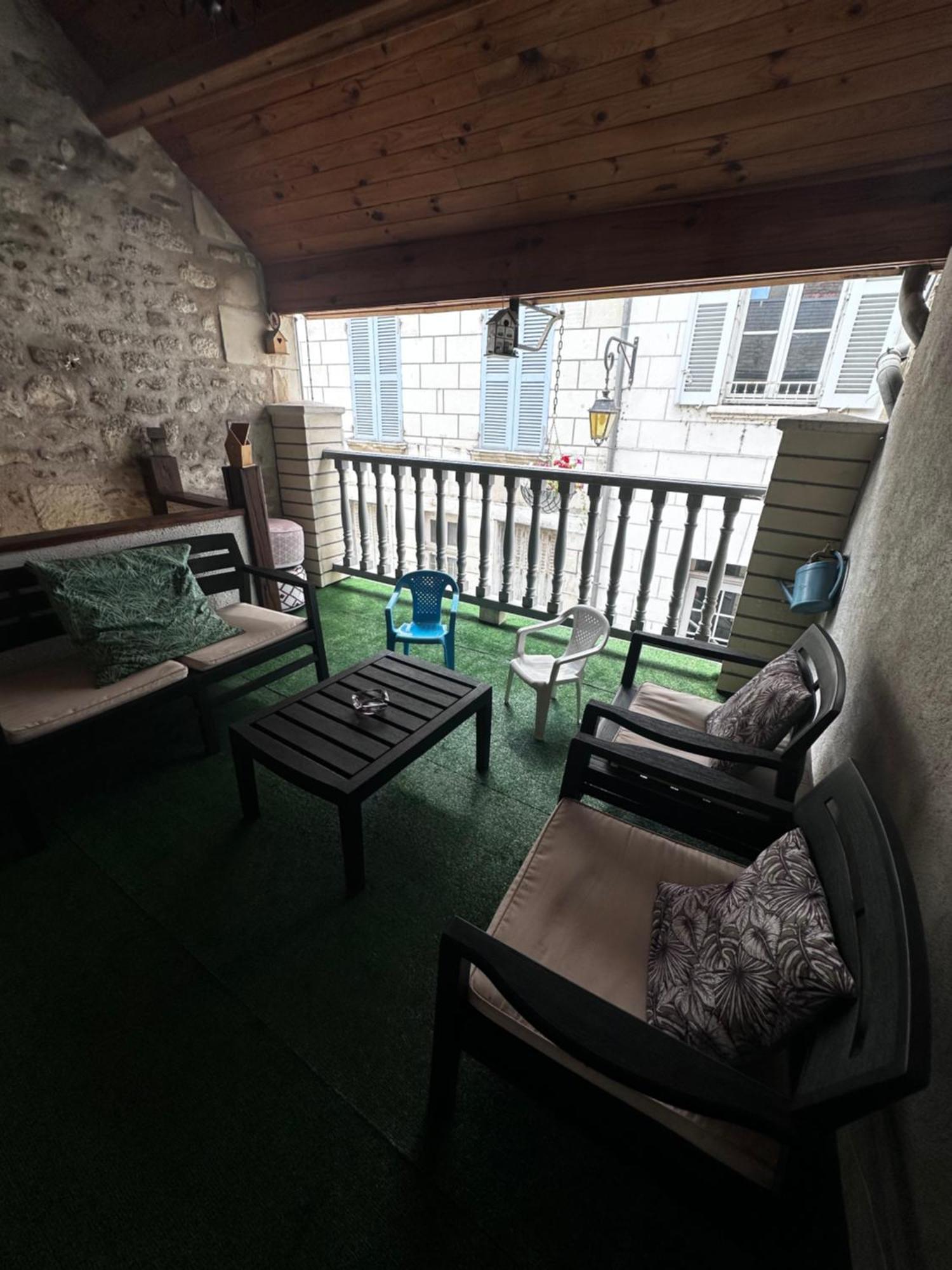 Gite Le Nid Des Zoo Zio, 5Mn Beauval, Appartement Terrasse Centre-Ville Saint-Aignan  Dış mekan fotoğraf